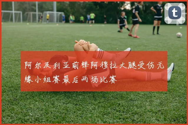 阿尔及利亚前锋阿穆拉大腿受伤无缘小组赛最后两场比赛