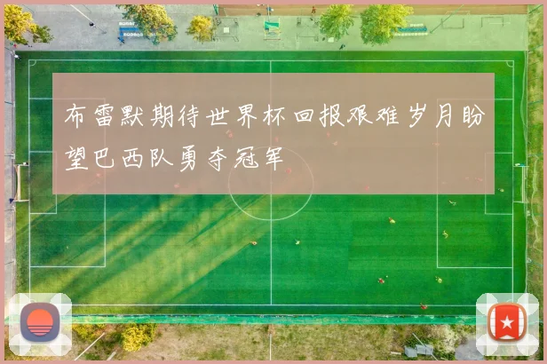 布雷默期待世界杯回报艰难岁月盼望巴西队勇夺冠军